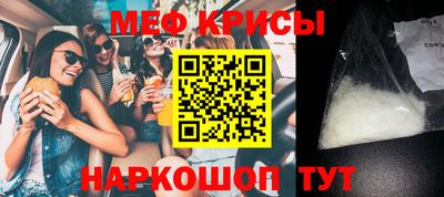 бошки Кингисепп