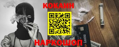 бошки Кингисепп