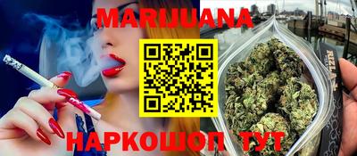 бошки Кингисепп